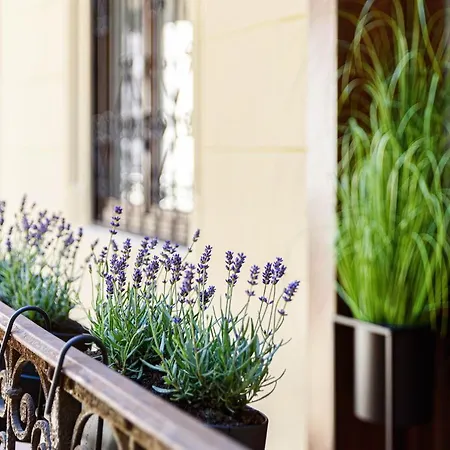 Apartment Serenity Luxury *